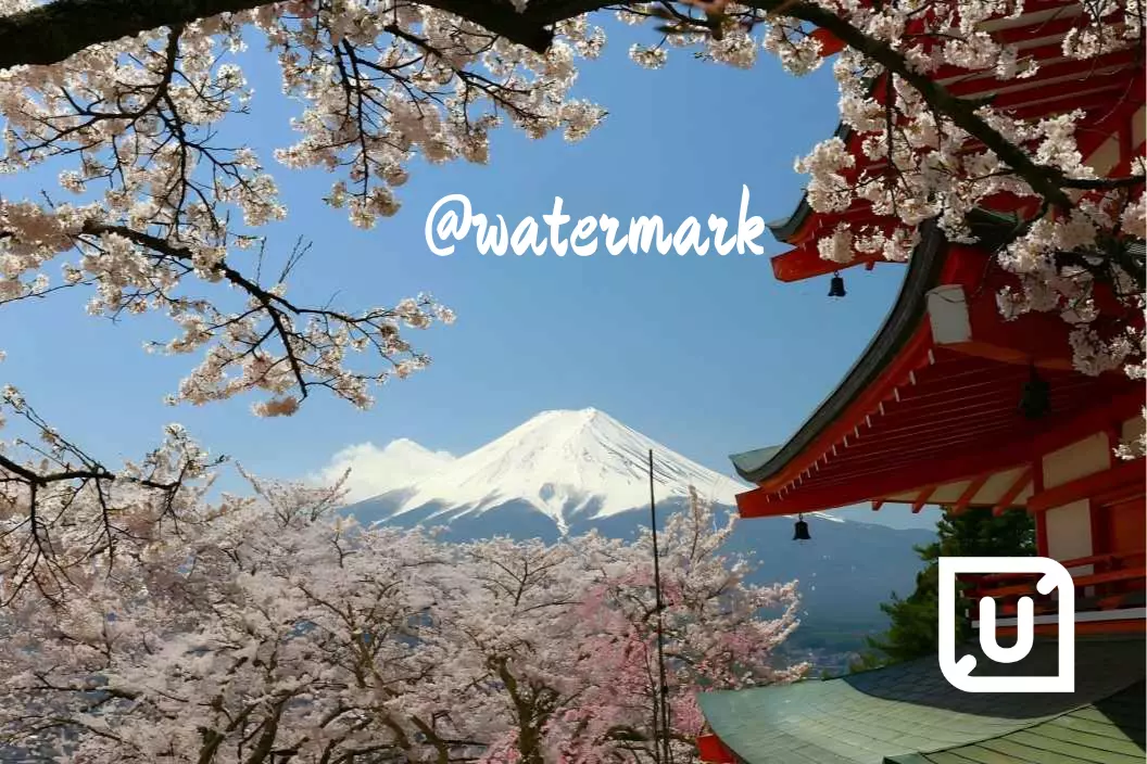 Add Watermark For Video