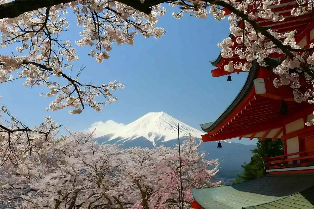 Add Watermark For Video