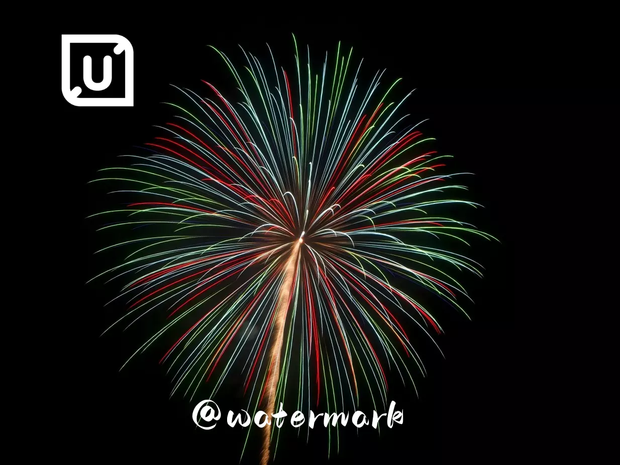 Fine-Tune Watermarks Instantly, Keep Quality Intact 