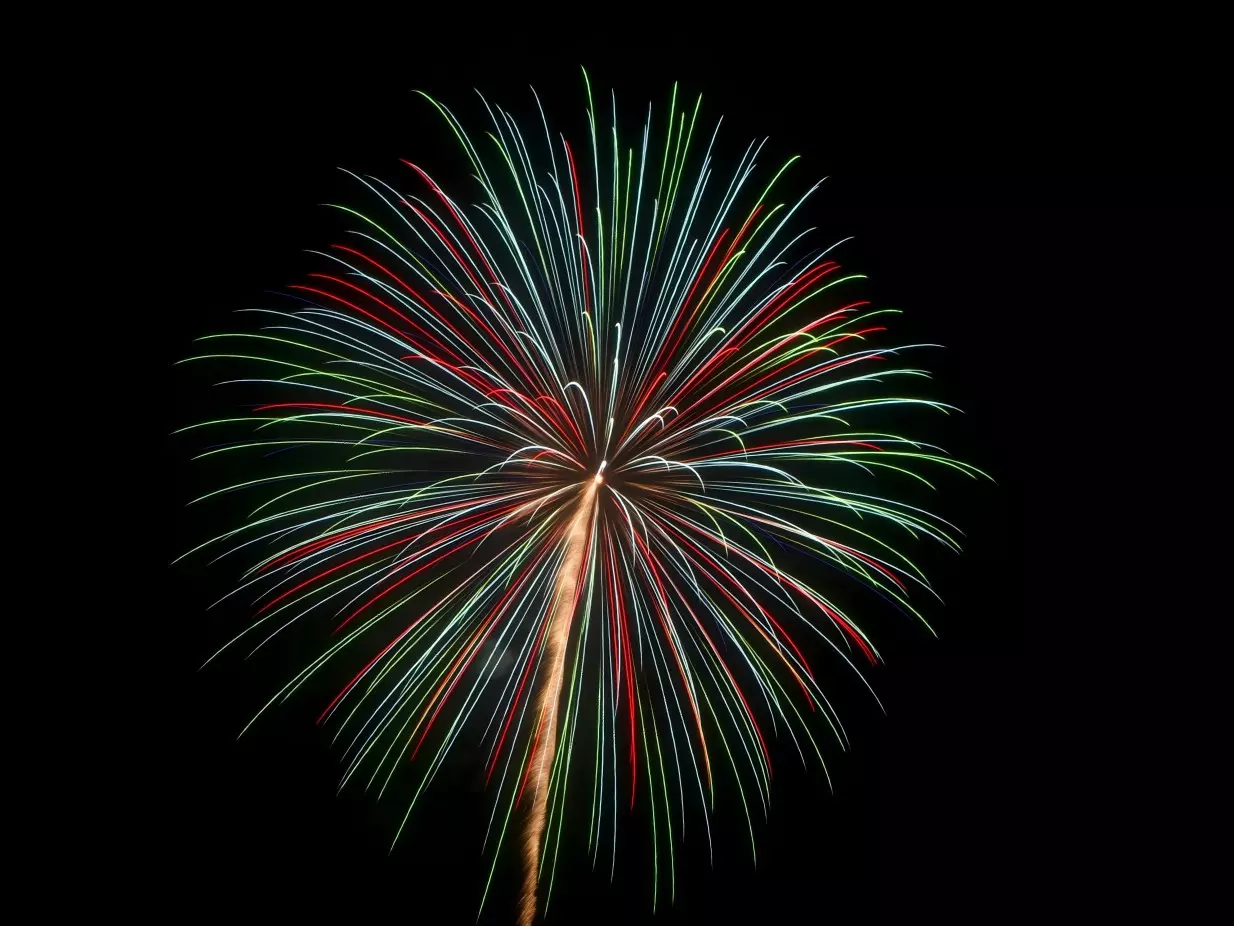 Fine-Tune Watermarks Instantly, Keep Quality Intact 