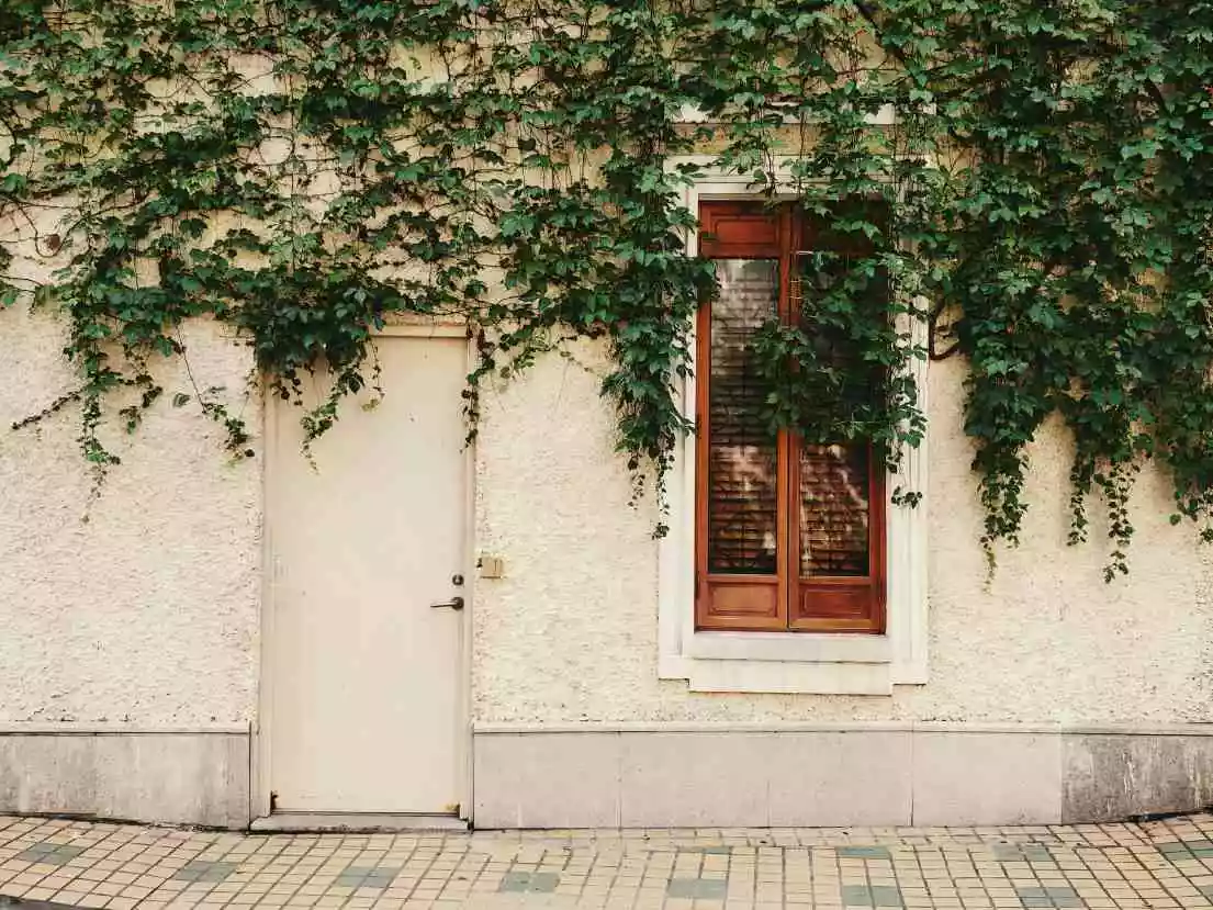 Detecção automática inteligente