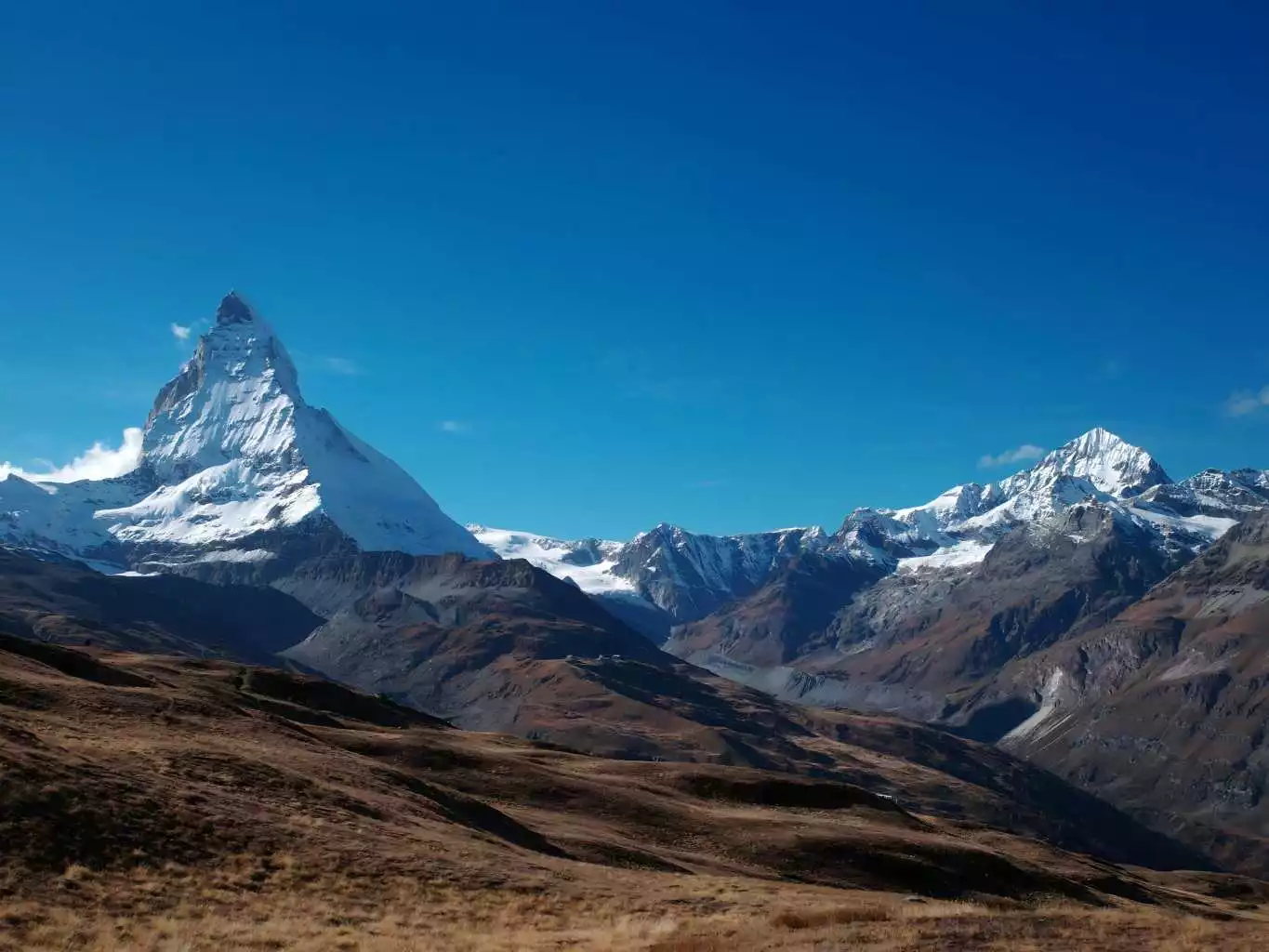 Работа прямо в браузере