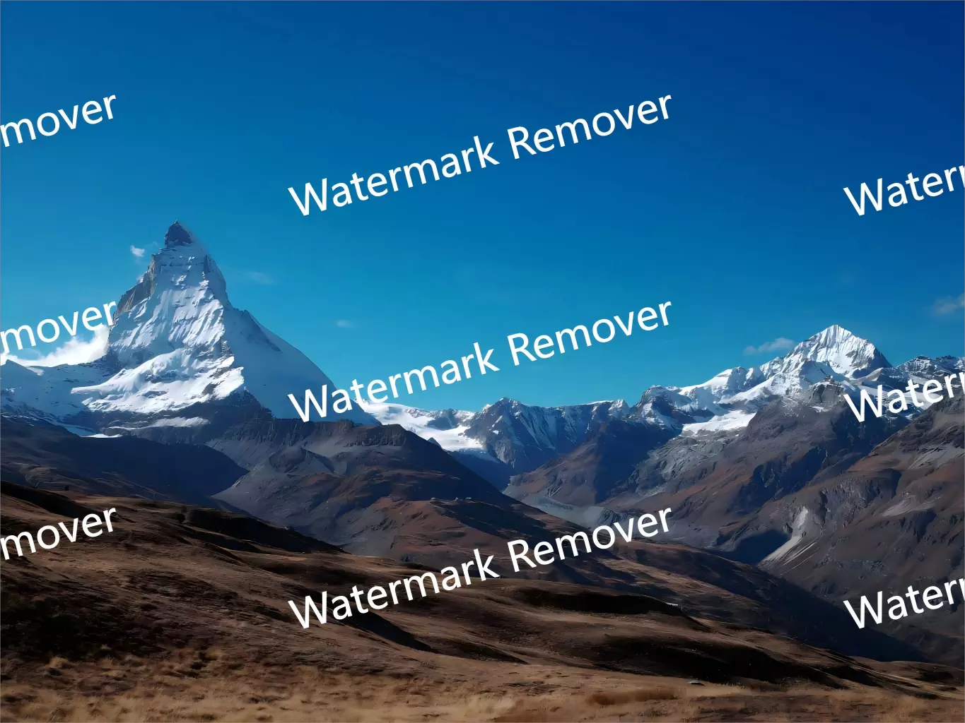 Работа прямо в браузере