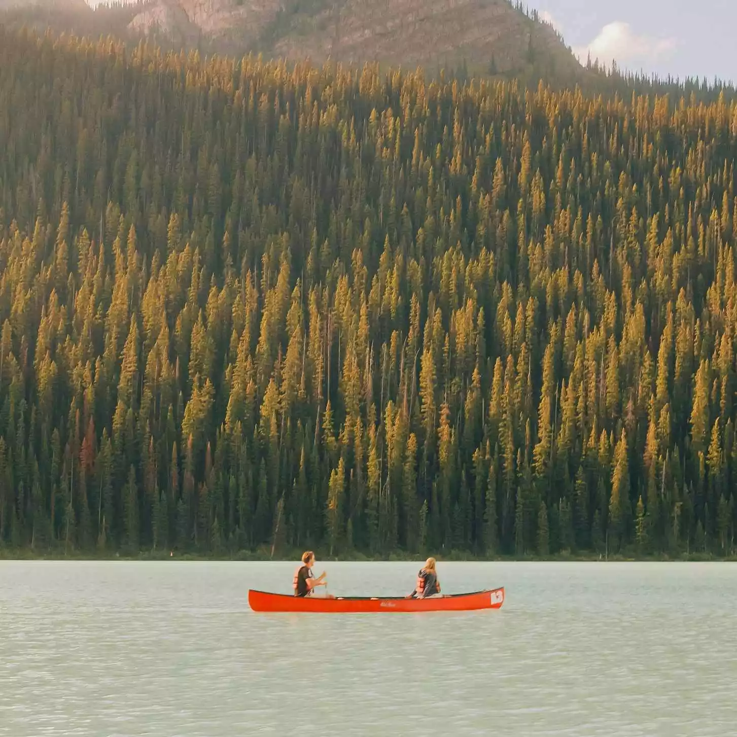 Remove Sora watermark - Online video watermark remover for all formats