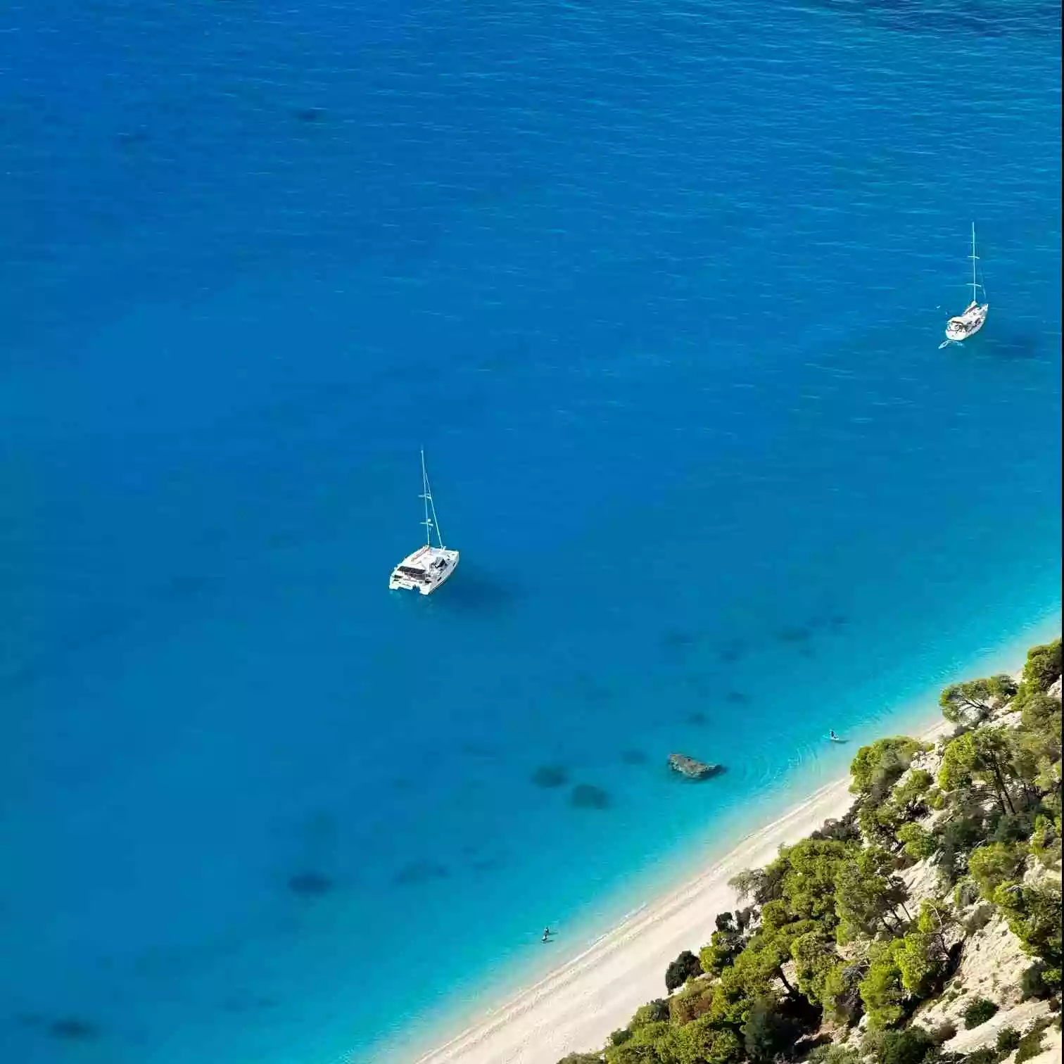 Remove Sora watermark - High quality video watermark remover