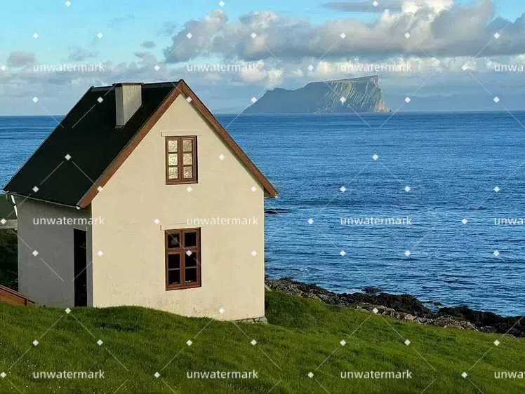 Use Advanced AI Technology for Smooth Logo Remover