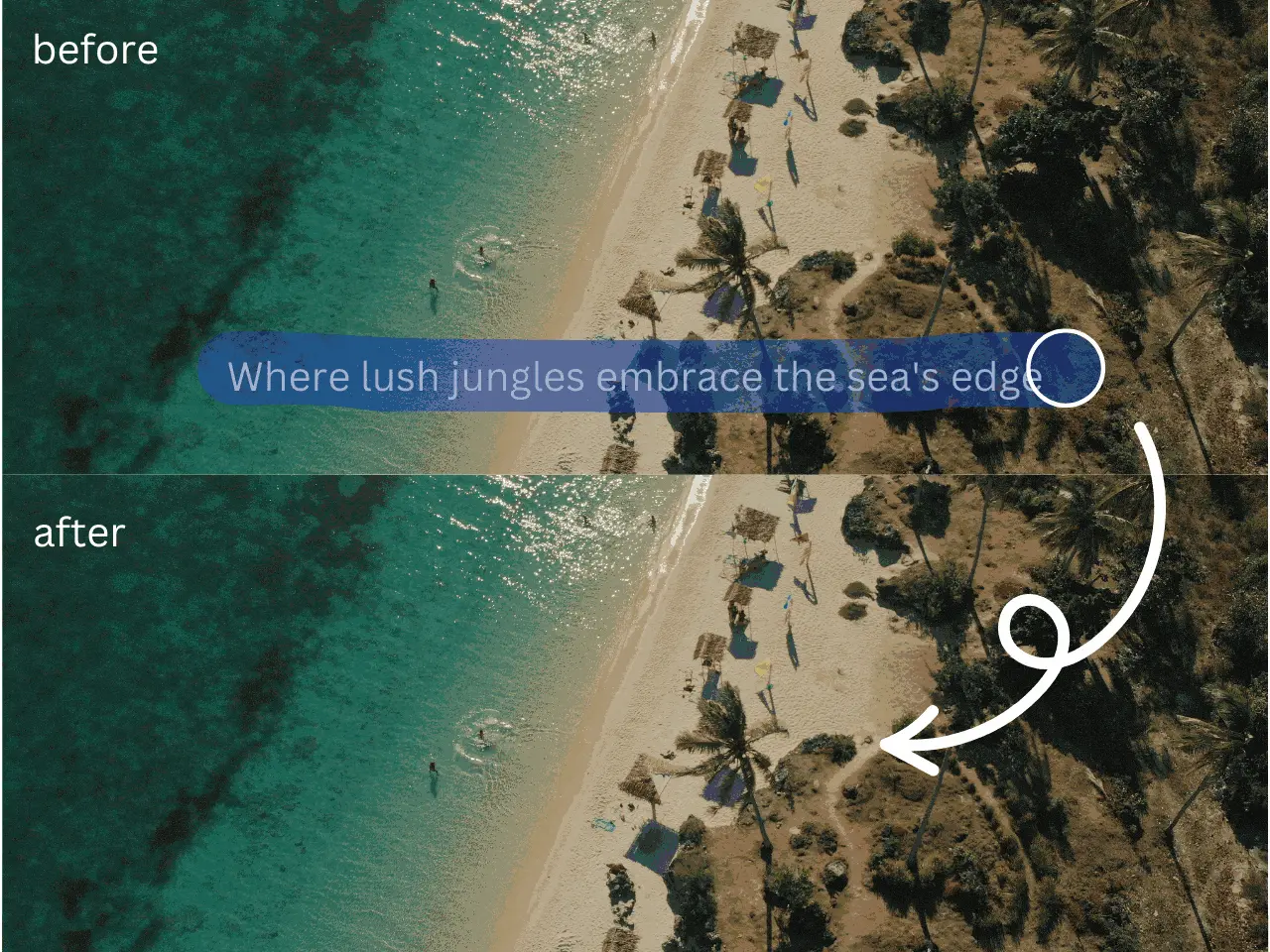 Enjoy High-Quality Subtitle Removal Without Blur or Distortion