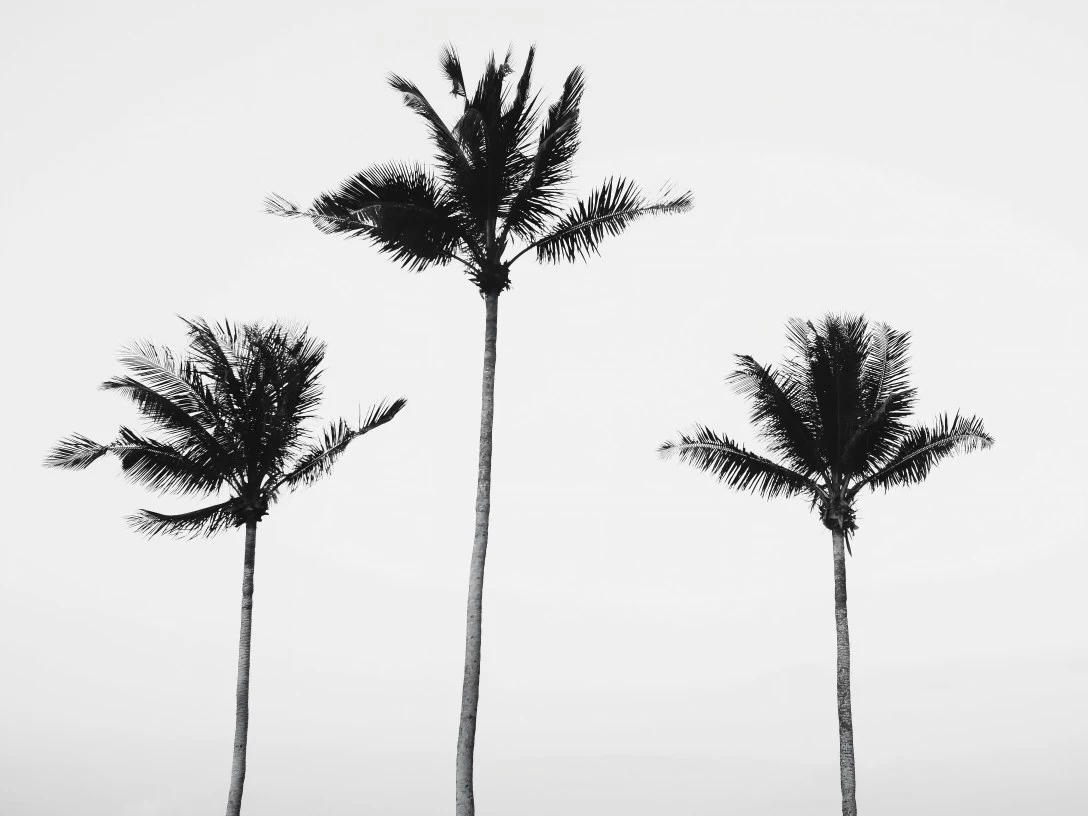 Retirer logos, textes et tampons avec précision