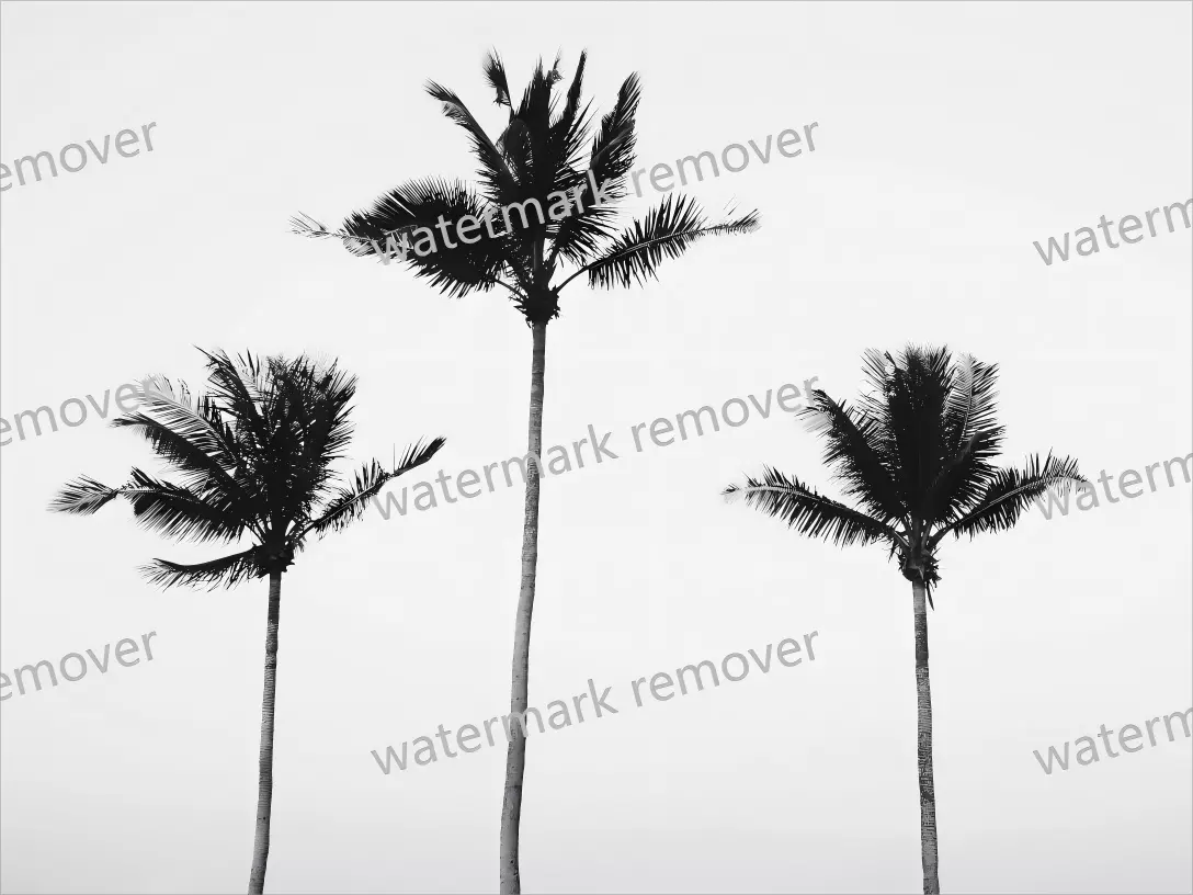 Retirer logos, textes et tampons avec précision